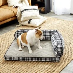La-Z-Boy Sadie Orthopedic Bolster Dog Bed With Removable Cover -Cozy Paws 164614 PT5. AC SS1800 V1578084847