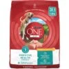 Purina ONE +Plus Adult Digestive Health Formula Dry Dog Food