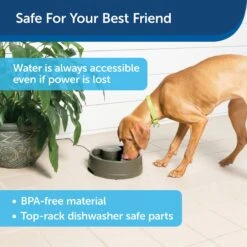 PetSafe Current Circulating Pet Fountain -Cozy Paws 166258 PT7. AC SS1800 V1598894794