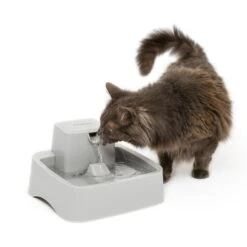 PetSafe Drinkwell Dog & Cat Water Fountain