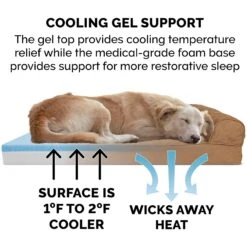 FurHaven Quilted Cooling Gel Bolster Cat & Dog Bed With Removable Cover -Cozy Paws 172297 PT6. AC SS1800 V1619659619