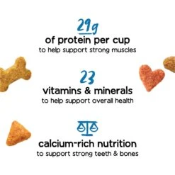 Purina Beneful Healthy Puppy With Farm Raised Chicken High Protein Dry Dog Food -Cozy Paws 173762 PT2. AC SS1800 V1695836098