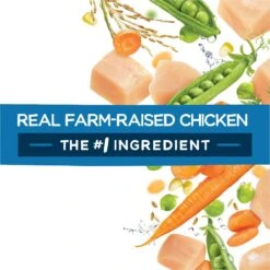 Purina Beneful Healthy Puppy With Farm Raised Chicken High Protein Dry Dog Food -Cozy Paws 173762 PT6. AC SS1800 V1695736852