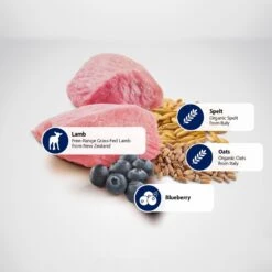 Farmina N&D Ancestral Grain Lamb & Blueberry Medium & Maxi Adult Dry Dog Food -Cozy Paws 175530 PT4. AC SS1800 V1591127791