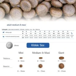 Farmina N&D Prime Lamb & Blueberry Medium & Maxi Adult Grain-Free Dry Dog Food -Cozy Paws 175541 PT5. AC SS1800 V1679329588