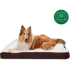 FurHaven Faux Sheepskin & Suede Deluxe Pillow Cat & Dog Bed With Removable Cover -Cozy Paws 176035 PT1. AC SS1800 V1588969298