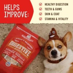 Stella & Chewy's Stella's Solutions Digestive Boost Freeze-Dried Raw Grass-Fed Beef Dinner Morsels Dog Food -Cozy Paws 176513 PT3. AC SS1800 V1680640377