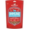 Stella & Chewy's Stella's Solutions Immune Boost Freeze-Dried Raw Grass-Fed Lamb Dinner Morsels Dog Food -Cozy Paws 176517 MAIN. AC SS1800 V1559856784