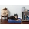FurHaven Indoor/Outdoor Solid Cooling Gel Cat & Dog Bed With Removable Cover -Cozy Paws 178852 MAIN. AC SS1800 V1603330285
