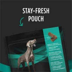 Purina Pro Plan Veterinary Diets Digestive Health Bites Soft & Chewy Dog Treats -Cozy Paws 180381 PT3. AC SS1800 V1700158406