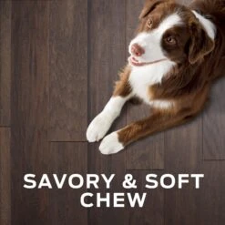 Purina Pro Plan Veterinary Diets Digestive Health Bites Soft & Chewy Dog Treats -Cozy Paws 180381 PT6. AC SS1800 V1700159849