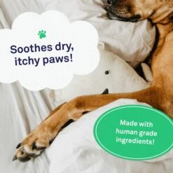 Petpost Dog Paw Balm With Jojoba & Coconut Oil -Cozy Paws 181121 PT2. AC SS1800 V1564597353