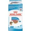 Royal Canin Size Health Nutrition Medium Puppy Chunks In Gravy Dog Food Pouch, 4.9-oz, Case Of 10 -Cozy Paws 181594 MAIN. AC SS1800 V1697139145