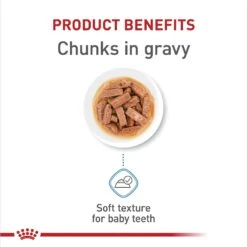 Royal Canin Size Health Nutrition Medium Puppy Chunks In Gravy Dog Food Pouch, 4.9-oz, Case Of 10 -Cozy Paws 181594 PT4. AC SS1800 V1697213712