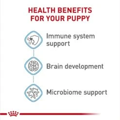 Royal Canin Size Health Nutrition Medium Puppy Chunks In Gravy Dog Food Pouch, 4.9-oz, Case Of 10 -Cozy Paws 181594 PT5. AC SS1800 V1697213746