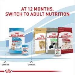 Royal Canin Size Health Nutrition Medium Puppy Chunks In Gravy Dog Food Pouch, 4.9-oz, Case Of 10 -Cozy Paws 181594 PT7. AC SS1800 V1697213153