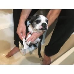 Warren London Paw Sani-Scrub Paw & Nail Dog Cleanser -Cozy Paws 183112 PT5. AC SS1800 V1660257394