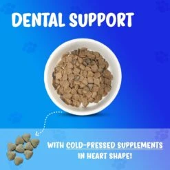 Forza10 Nutraceutic Active Line Oral Support Diet Dry Dog Food -Cozy Paws 183155 PT1. AC SS1800 V1696882610