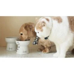 Necoichi Ceramic Elevated Dog Food Bowl, 1.5-cup -Cozy Paws 183507 PT6. AC SS1800 V1627495883