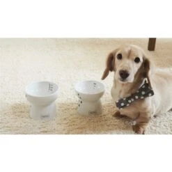 Necoichi Ceramic Elevated Dog Food Bowl, 1.5-cup -Cozy Paws 183507 PT7. AC SS1800 V1627496170