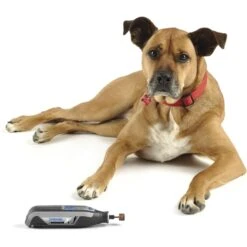 Dremel 7760-PGK 4V Pet Grooming Cordless Kit -Cozy Paws 183799 PT2. AC SS1800 V1563831453