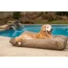 Snoozer Pet Products Rectangular Pillow Dog Bed With Removable Cover -Cozy Paws 185760 MAIN. AC SS1800 V1564072976