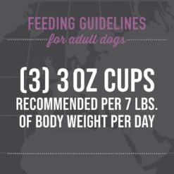 Tiki Dog Taste Of France Beef, Potatoes & Burgundy Recipe In Broth Grain-Free Wet Dog Food, 3-oz Cup, Case Of 4 -Cozy Paws 186335 PT7. AC SS1800 V1631199149
