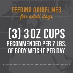 Tiki Dog Taste Of Spain Chicken & Shrimp Paella Recipe In Broth Gluten-Free Wet Dog Food, 3-oz Cup, Case Of 4 -Cozy Paws 186337 PT7. AC SS1800 V1631199409