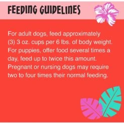 Tiki Dog Meaty High Protein Diet Chicken With Beef Recipe In Broth Grain-Free Wet Dog Food, 3-oz Cup, Case Of 4 -Cozy Paws 186351 PT6. AC SS1800 V1565099586