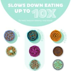 Outward Hound Non-Skid Plastic Slow Feeder Dog Bowl -Cozy Paws 190603 PT1. AC SS1800 V1694286656