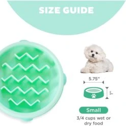 Outward Hound Non-Skid Plastic Slow Feeder Dog Bowl -Cozy Paws 190603 PT4. AC SS1800 V1694439680