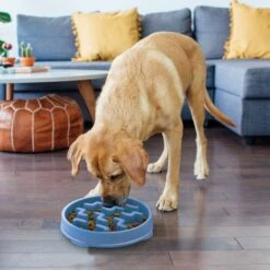 Outward Hound Fun Feeder Slow Feeder Dog Bowl -Cozy Paws 190604 PT5. AC SS1800 V1694285578