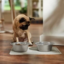 ORE Pet Silicone Dog & Cat Placemat -Cozy Paws 190789 PT2. AC SS1800 V1684524391