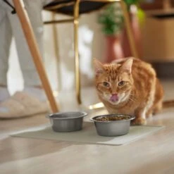 ORE Pet Silicone Dog & Cat Placemat -Cozy Paws 190789 PT3. AC SS1800 V1684524330