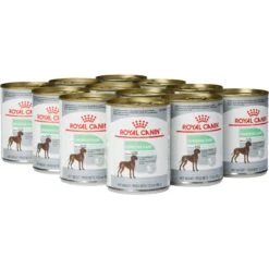 Royal Canin Canine Care Nutrition Digestive Care Loaf In Sauce Canned Dog Food, 13.5-oz, Case Of 12 -Cozy Paws 191981 PT3. AC SS1800 V1696258107