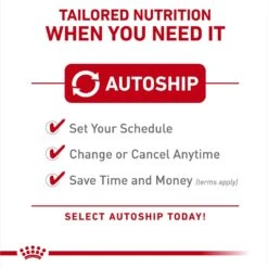 Royal Canin Canine Care Nutrition Comfort Care Loaf In Sauce Canned Dog Food, 13.5-oz, Case Of 12 -Cozy Paws 191985 PT4. AC SS1800 V1696534938