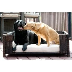 Iconic Pet Rattan Rectangular Sofa Cat & Dog Bed With Removable Cover, Espresso -Cozy Paws 192464 PT2. AC SS1800 V1568755967