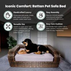 Iconic Pet Rattan Sofa Cat & Dog Bed With Removable Cover, Caramel & Mocha -Cozy Paws 192466 PT4. AC SS1800 V1568755958