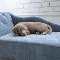 La-Z-Boy Chaise Furniture Sofa Dog Bed -Cozy Paws 192829 PT4. AC SS1800 V1597880835