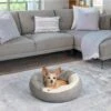 Best Friends By Sheri Cozy Cuddler Covered Cat & Dog Bed -Cozy Paws 193285 MAIN. AC SS1800 V1696443432