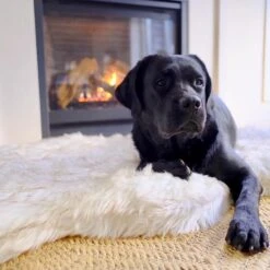 PawBrands PupRug Faux Fur Curve Orthopedic Pillow Dog Bed With Removable Cover, White -Cozy Paws 194376 PT3. AC SS1800 V1566829947