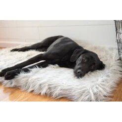PawBrands PupRug Faux Fur Rectangular Orthopedic Pillow Dog Bed With Removable Cover, Gray -Cozy Paws 194380 PT5. AC SS1800 V1566829945