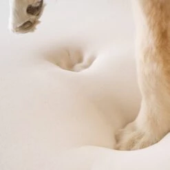 PawBrands PupRug Faux Fur Rectangular Orthopedic Pillow Dog Bed With Removable Cover, Gray -Cozy Paws 194380 PT8. AC SS1800 V1566829971