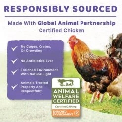 Halo Holistic Chicken Stew Adult Canned Dog Food -Cozy Paws 194483 PT6. AC SS1800 V1633473373