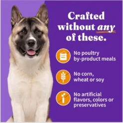 Halo Holistic Chicken Recipe Senior Canned Dog Food -Cozy Paws 194491 PT5. AC SS1800 V1695310200