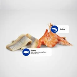 Farmina Natural & Delicious Ocean Herring & Shrimps Canned Dog Food -Cozy Paws 197029 PT5. AC SS1800 V1591128383