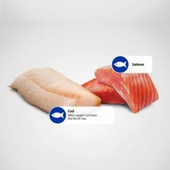 Farmina Natural & Delicious Ocean Salmon & Cod Canned Dog Food -Cozy Paws 197032 PT5. AC SS1800 V1679330225