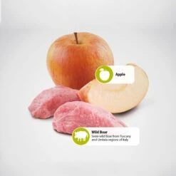 Farmina Natural & Delicious Prime Boar & Apple Canned Dog Food -Cozy Paws 197041 PT5. AC SS1800 V1591128662