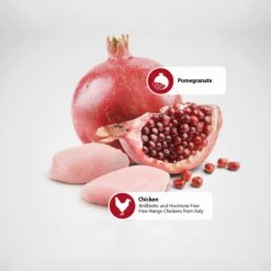 Farmina Natural & Delicious Prime Chicken & Pomegranate Canned Dog Food -Cozy Paws 197047 PT5. AC SS1800 V1591128677