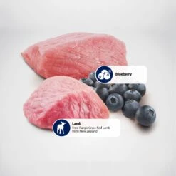 Farmina Natural & Delicious Prime Lamb & Blueberry Canned Dog Food -Cozy Paws 197050 PT5. AC SS1800 V1591128682